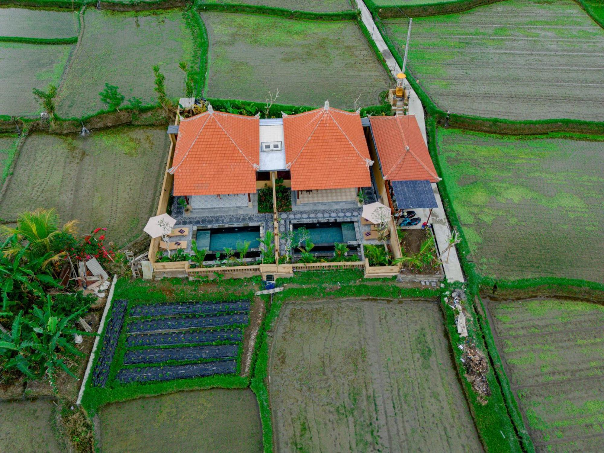 Umesari Villa Sebatu By Uniquecations Ubud  Bagian luar foto