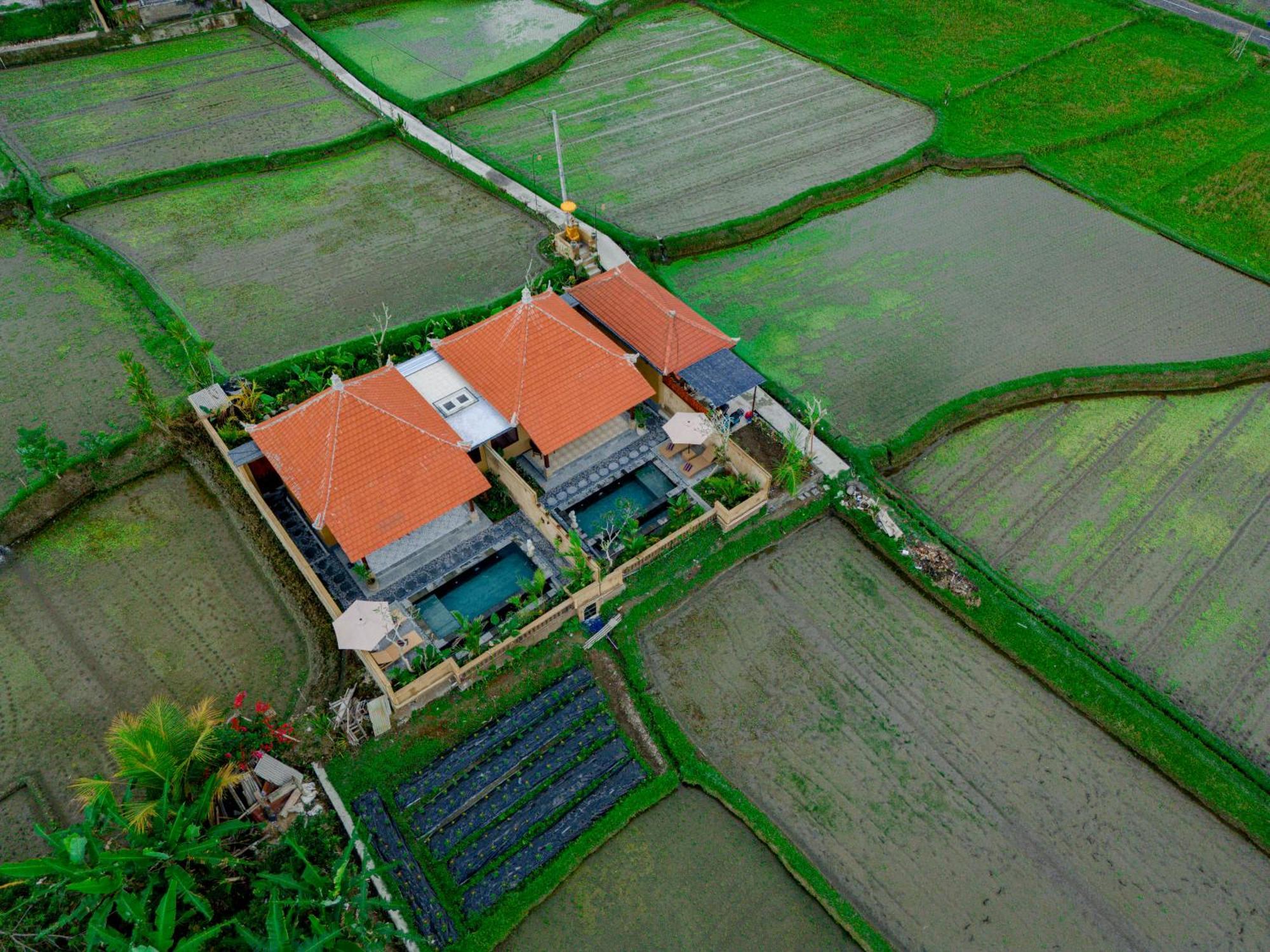 Umesari Villa Sebatu By Uniquecations Ubud  Bagian luar foto
